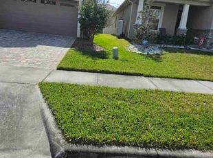 Patricia A.'s lawn care service result