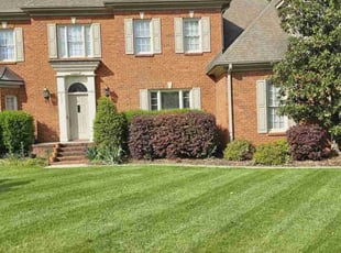 Feng O.'s grass maintenance service result