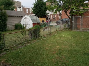 Bryan H.'s Bush Trimming service result