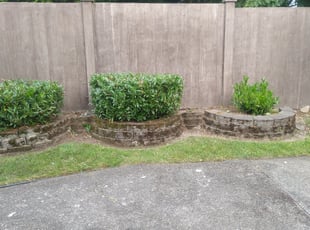 Nicki S.'s Bush Trimming service result