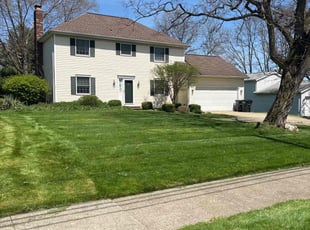 Davis S.'s lawn care service result