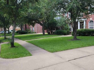 Christopher S.'s grass maintenance service result