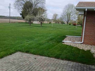 Expedito L.'s grass maintenance service result