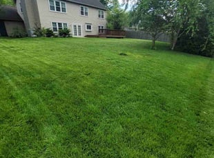 Diana B.'s lawn care services service result