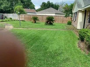 Darren C.'s grass maintenance service result