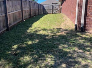 Chay C.'s grass cutting service result