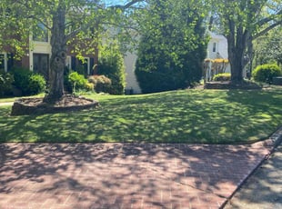 Sharon N.'s grass cutting service result
