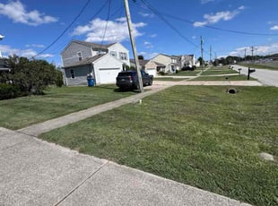 Lisa C.'s lawn maintenance service result