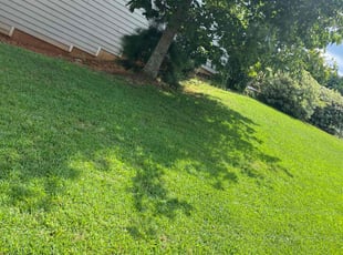 Jennifer B.'s grass cutting service result