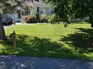 Chelsea S.'s turf maintenance service result