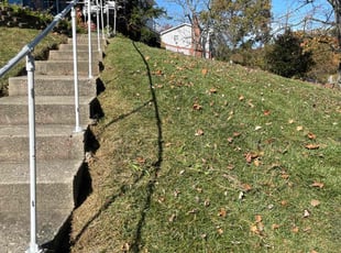 David F.'s turf care service result