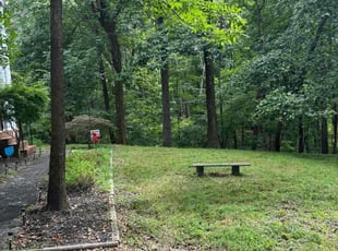 Phoebe L.'s grass maintenance service result