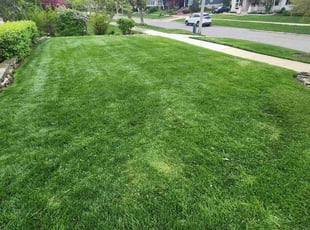 Deborah H.'s lawn care services service result