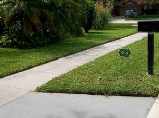 Bri G.'s lawn maintenance service result
