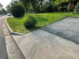Tiffany M.'s Bush Trimming service result