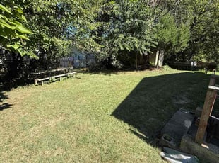 Connie M.'s grass cutting service result