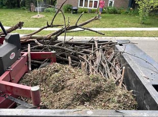 Angela S.'s Leaf Removal service result