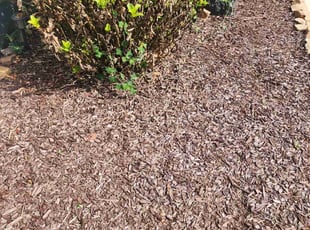 Cynthia C.'s Flower Bed Weeding service result
