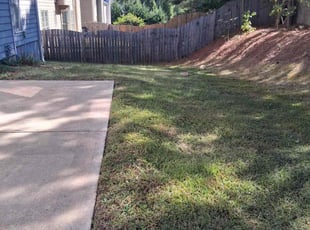 Ravi P.'s lawn service service result