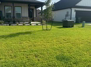Mary C.'s landscape maintenance service result
