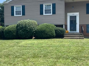 Sophia L.'s Bush Trimming service result