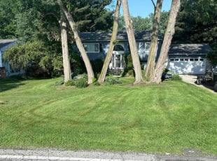 Charlotte H.'s grass maintenance service result