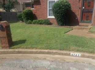 Brenda D.'s grass maintenance service result