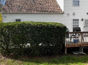 Brian K.'s Bush Trimming service result