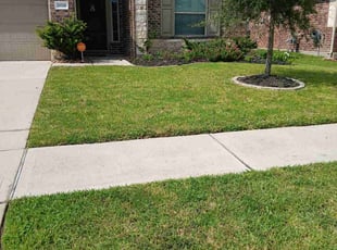 Donna B.'s lawn care services service result