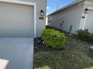 Laura S.'s Bush Trimming service result