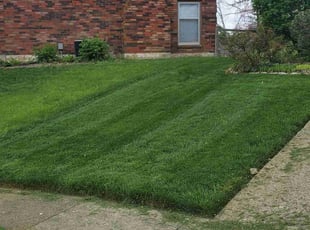 Ron S.'s grass maintenance service result