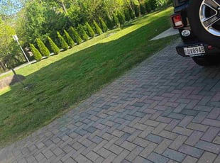 Kim M.'s grass maintenance service result