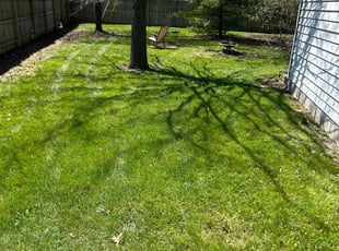 Denise C.'s Leaf Removal service result