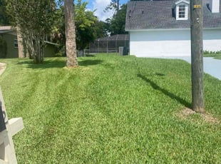 Andrew R.'s grass maintenance service result