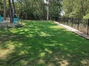 Zachary M.'s lawn care service result