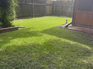 Ken Z.'s lawn maintenance service result