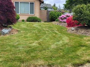 Glorie A.'s lawn care services service result