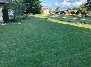 Katie P.'s lawn service service result