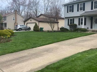 Ronda W.'s lawn care services service result