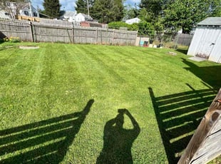 Aaron H.'s lawn care services service result