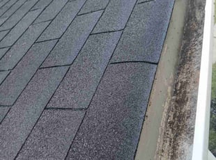 Susan W.'s Gutter Cleaning service result
