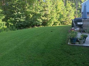 Josh R.'s turf maintenance service result