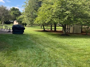 Khalil W.'s lawn maintenance service result