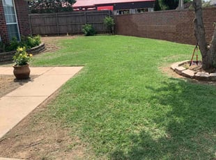 Micheile W.'s grass cutting service result