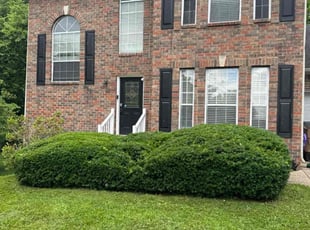 Cekkedria A.'s lawn care service result