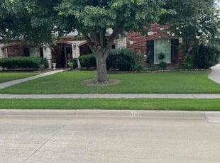 Jennifer S.'s lawn service service result