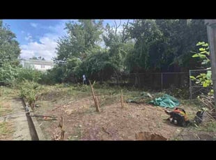 Virginia M.'s Bush Trimming service result