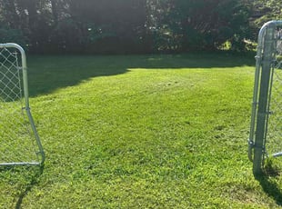 Mike B.'s turf care service result