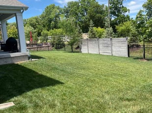 Lynette B.'s lawn care service result