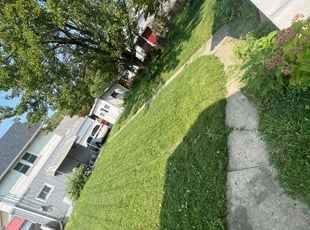 Lulu m.'s grass cutting service result